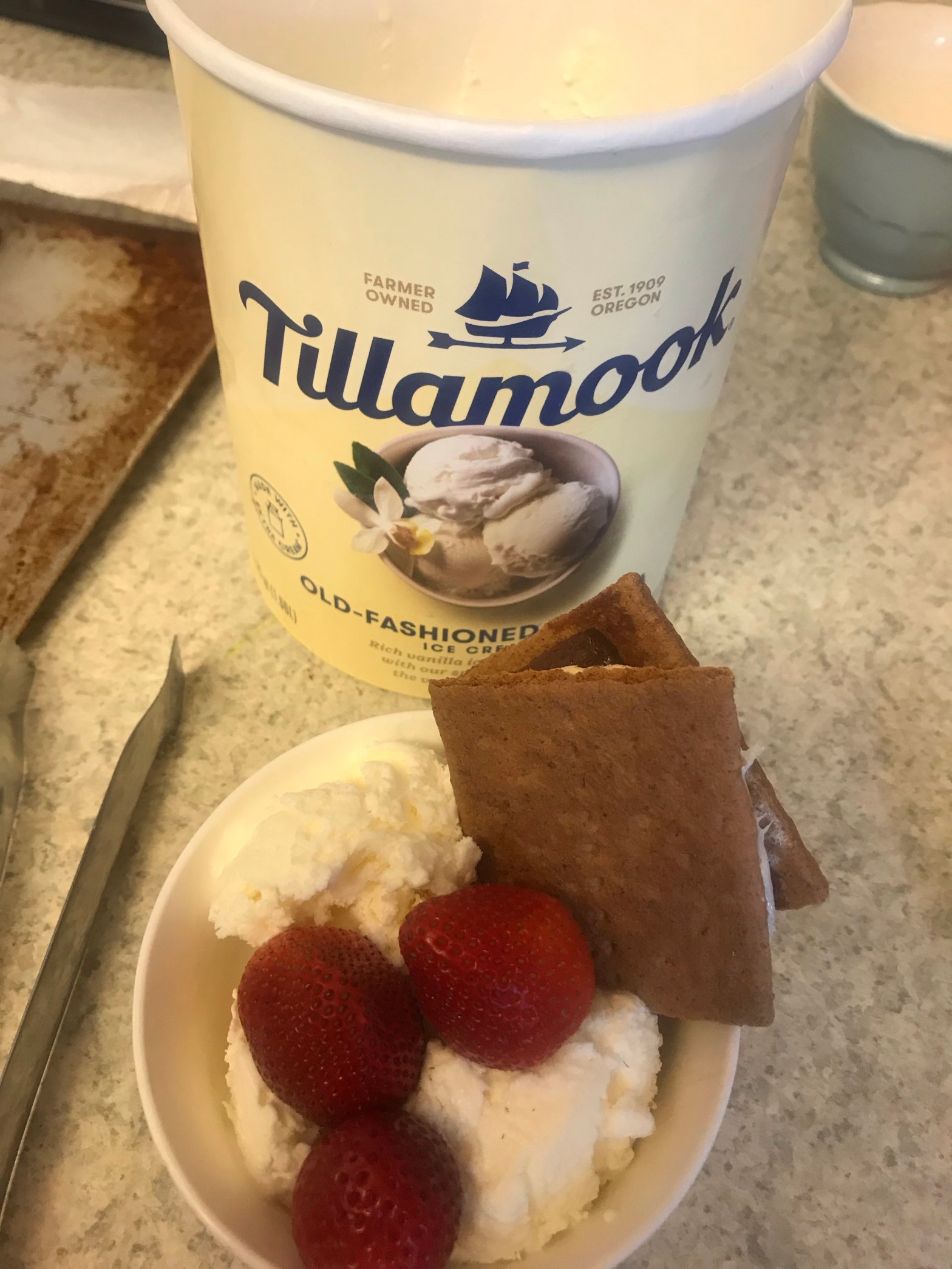 A yummy snack of s'mores with vanilla ice cream and strawberries.
